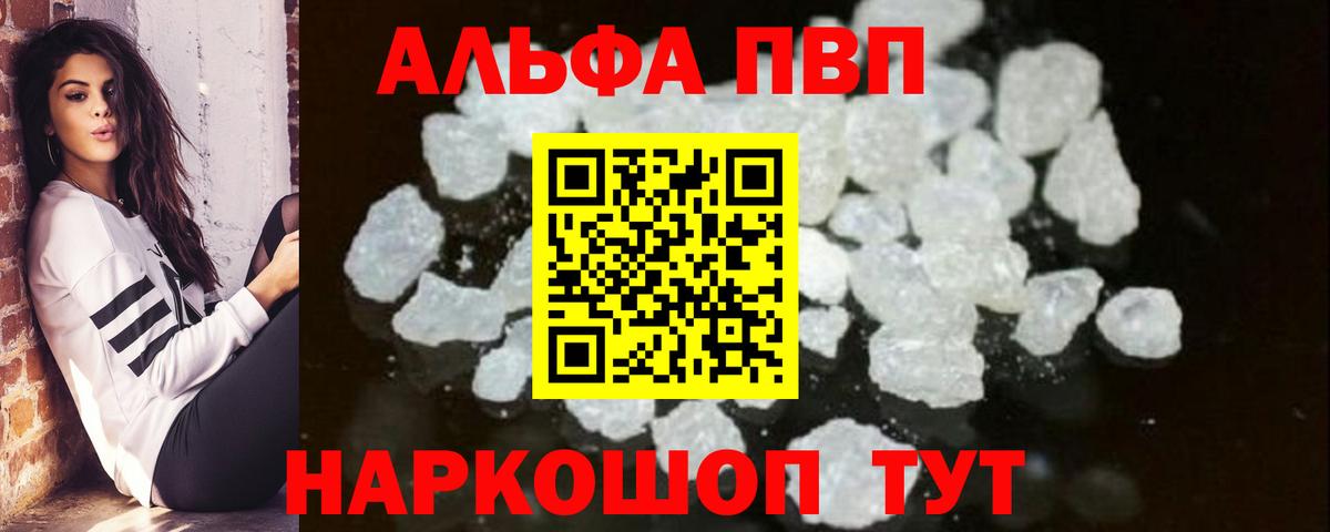 A PVP СК Камышин