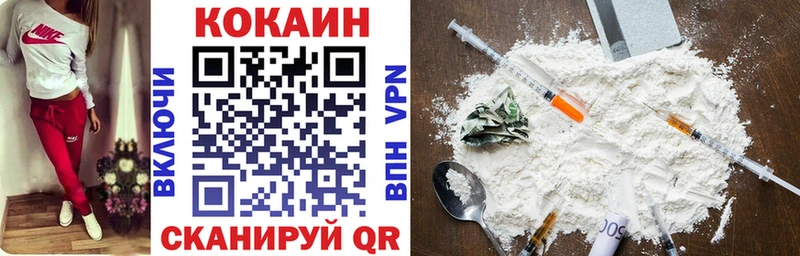 Cocaine FishScale  сколько стоит  ОМГ ОМГ сайт  Камышин 