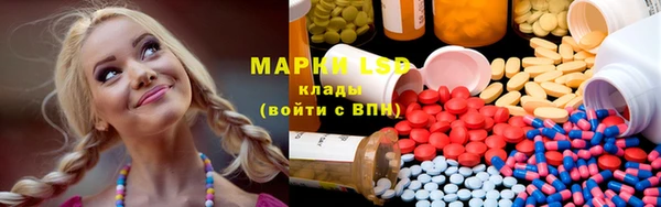 шишки Майский