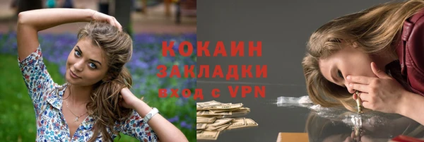 шишки Майский