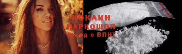 шишки Майский