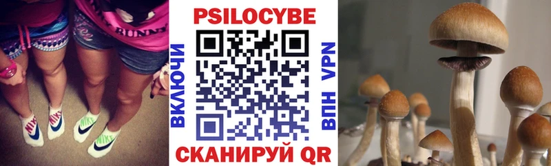 Галлюциногенные грибы Magic Shrooms  наркошоп  Камышин 