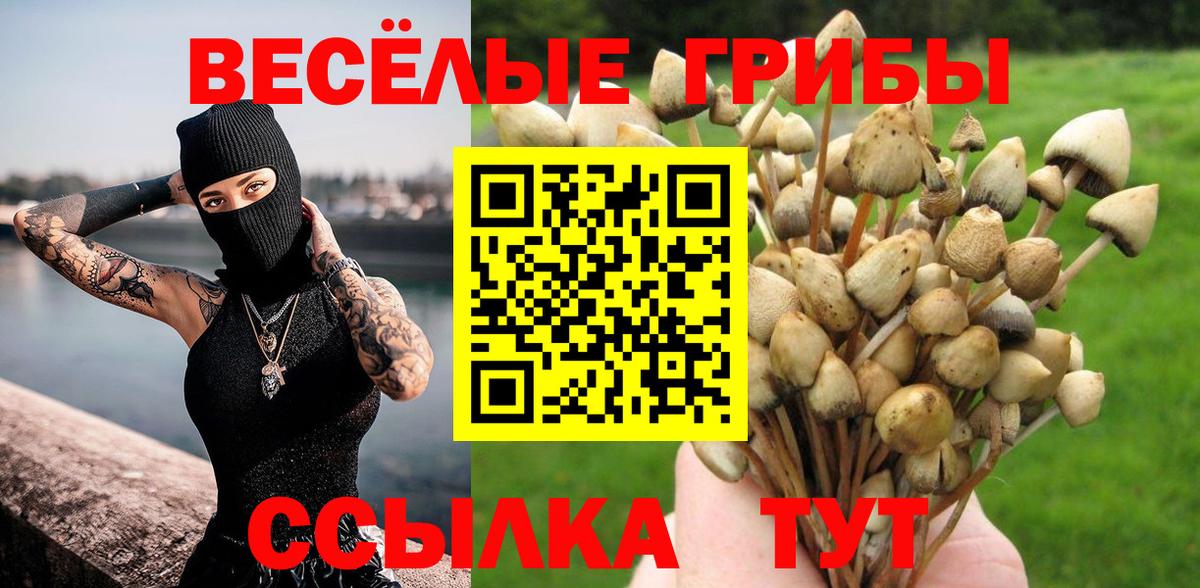 Псилоцибиновые грибы MAGIC MUSHROOMS Камышин