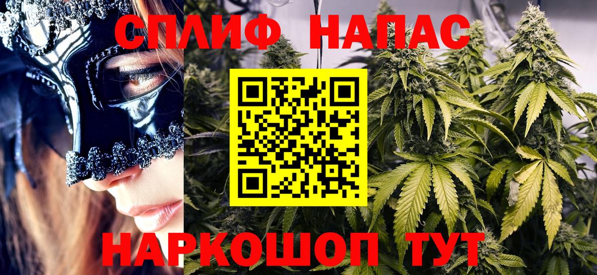 Бошки Шишки OG Kush  Канабис ГИДРОПОН  Вход с VPN  Камышин  Канабис план 